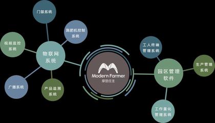 農(nóng)業(yè)4.0時(shí)代 走進(jìn)江蘇綠港的農(nóng)場(chǎng)“辦公室”與數(shù)據(jù)處理